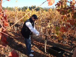 ワイナリー便り　No.８　（サン・ホセ・デ・アパルタ）